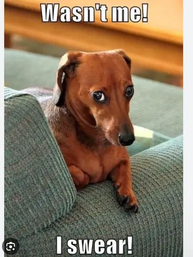 I’m Only Selling Pots I Swear 👀 Trail P2