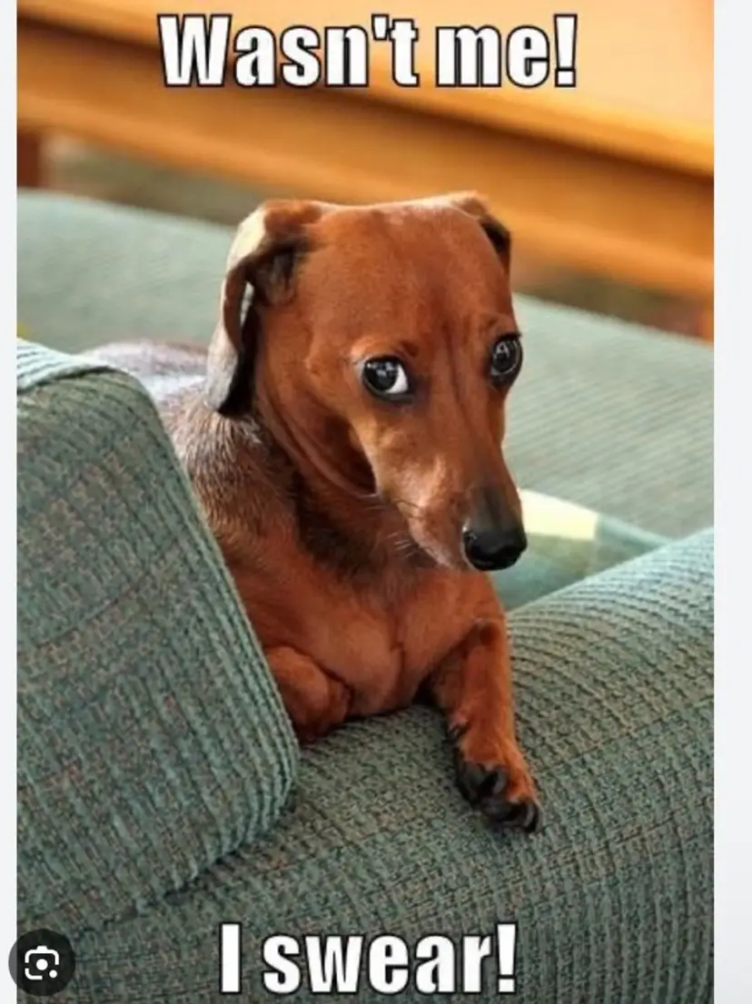 Livestream thumbnail