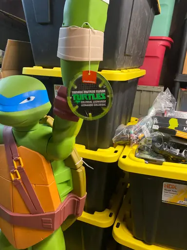 Toys, Video Games, Comic Books, Pokémon And Who Knows What Else . Let’s Have Some Fun 