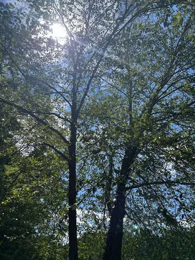 Rise And Shine Jewelry Playtime With Adored!!