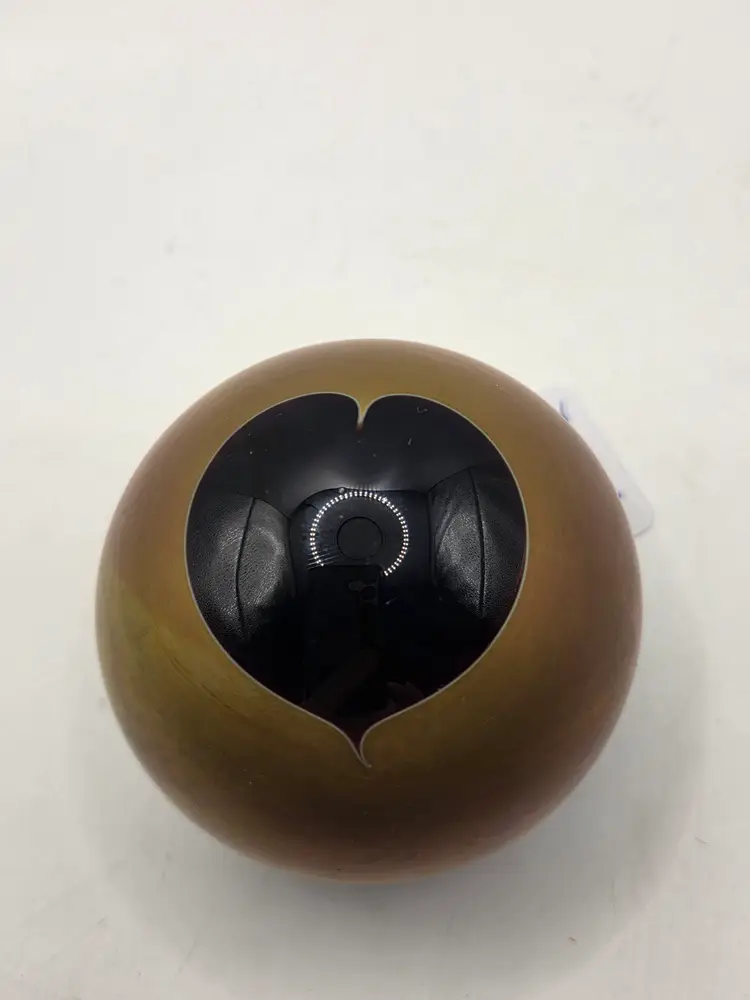 Craig Zweifel Art Glass Paperweight