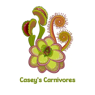 Casey's Carnivores