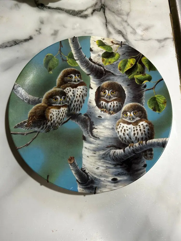 Vintage 1990s Knowles Joe Thronbrugh "The Tree House: Northern Pygmy Owls" Collector Plate