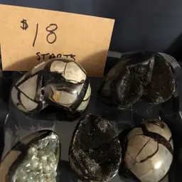 $18 Septarian Eggs, Your Choice Of One