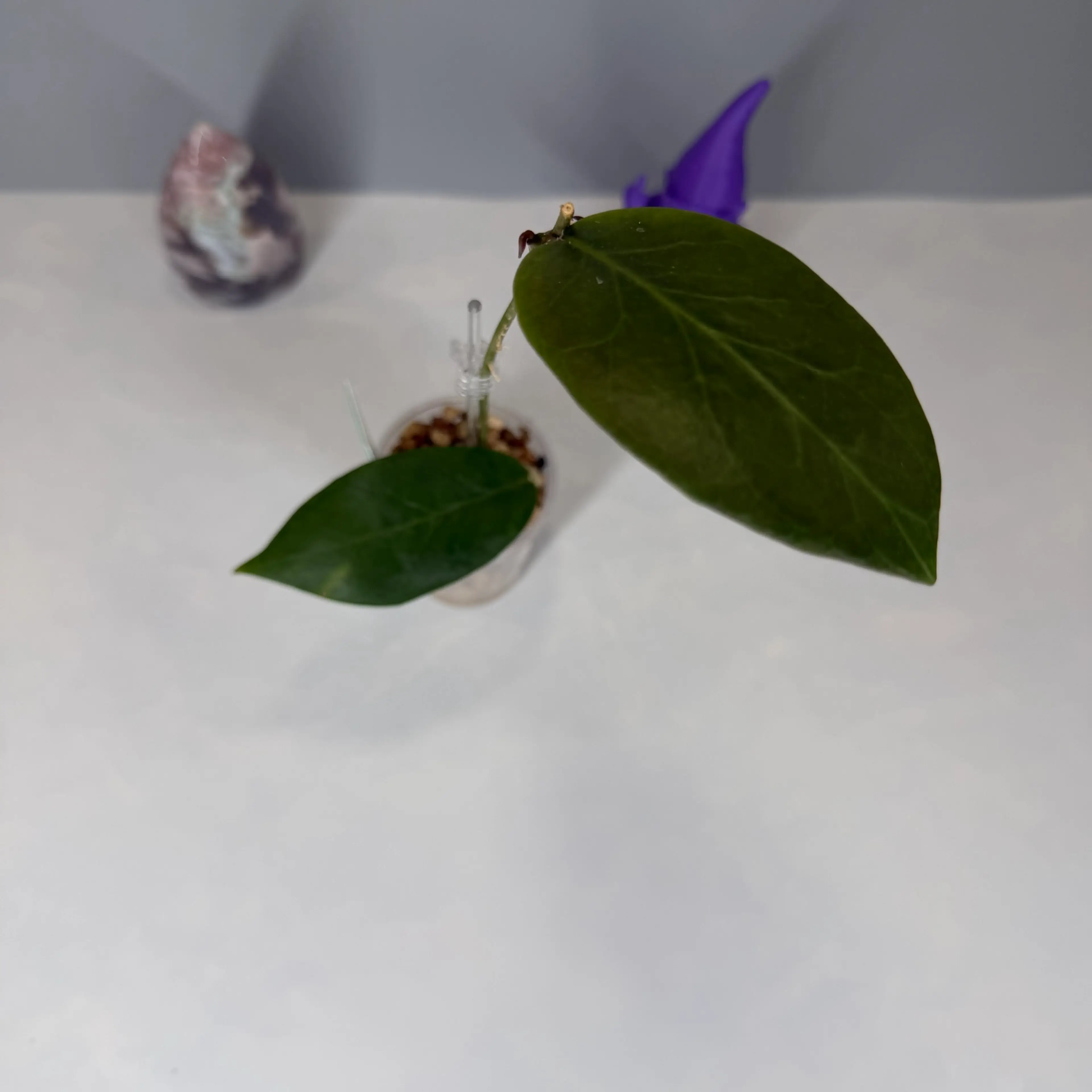 Image 2 of 3