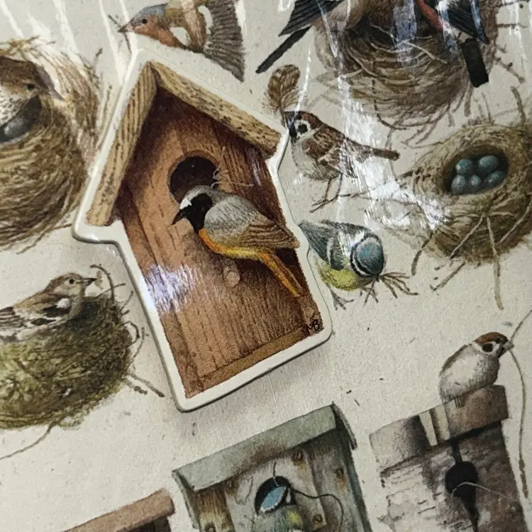 3 Choice Vintage Marjalean Bastin Greeting Card With Bird Pin, Squirrel Magnets (2), Lemon Magnet or Feather Decor