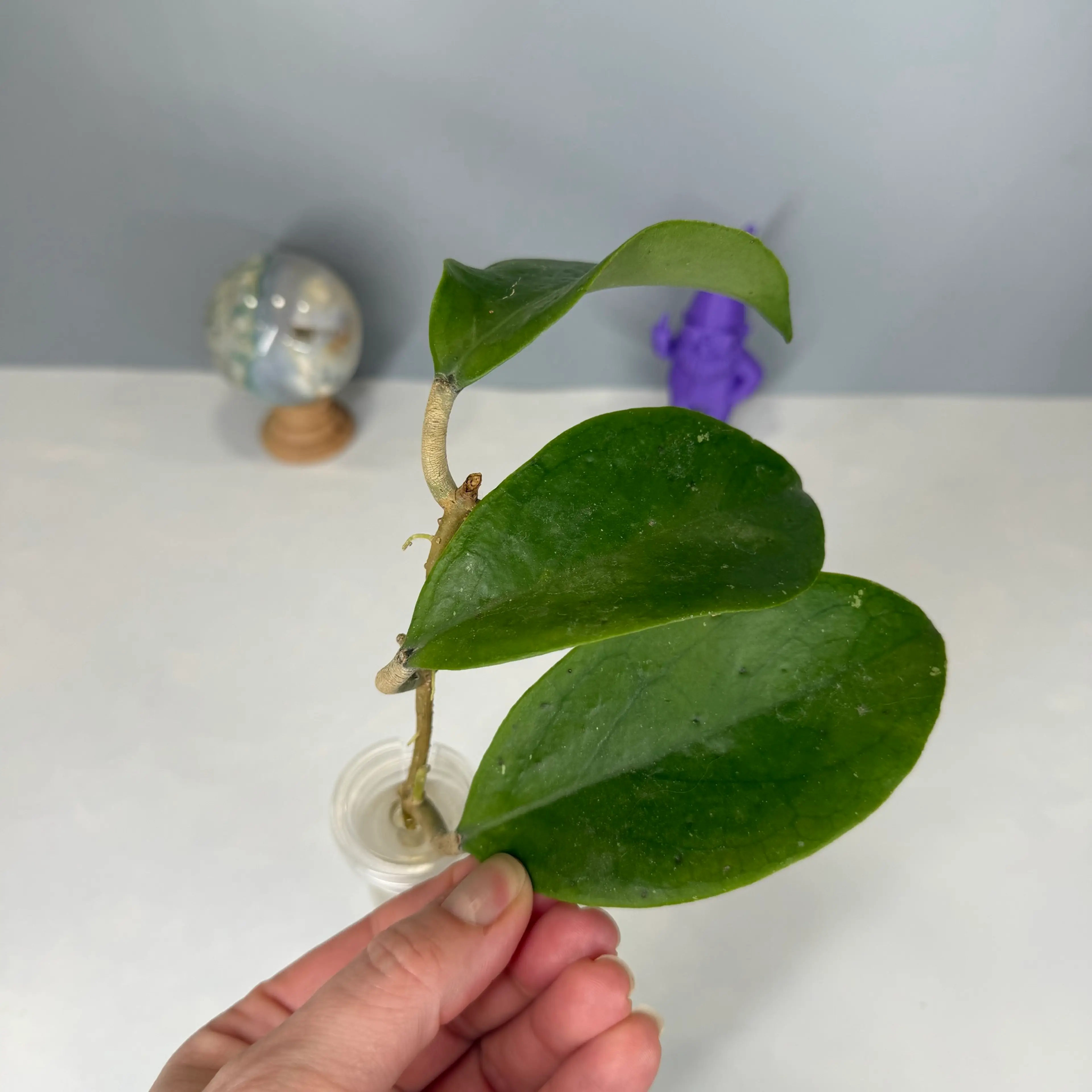 Image 3 of 4