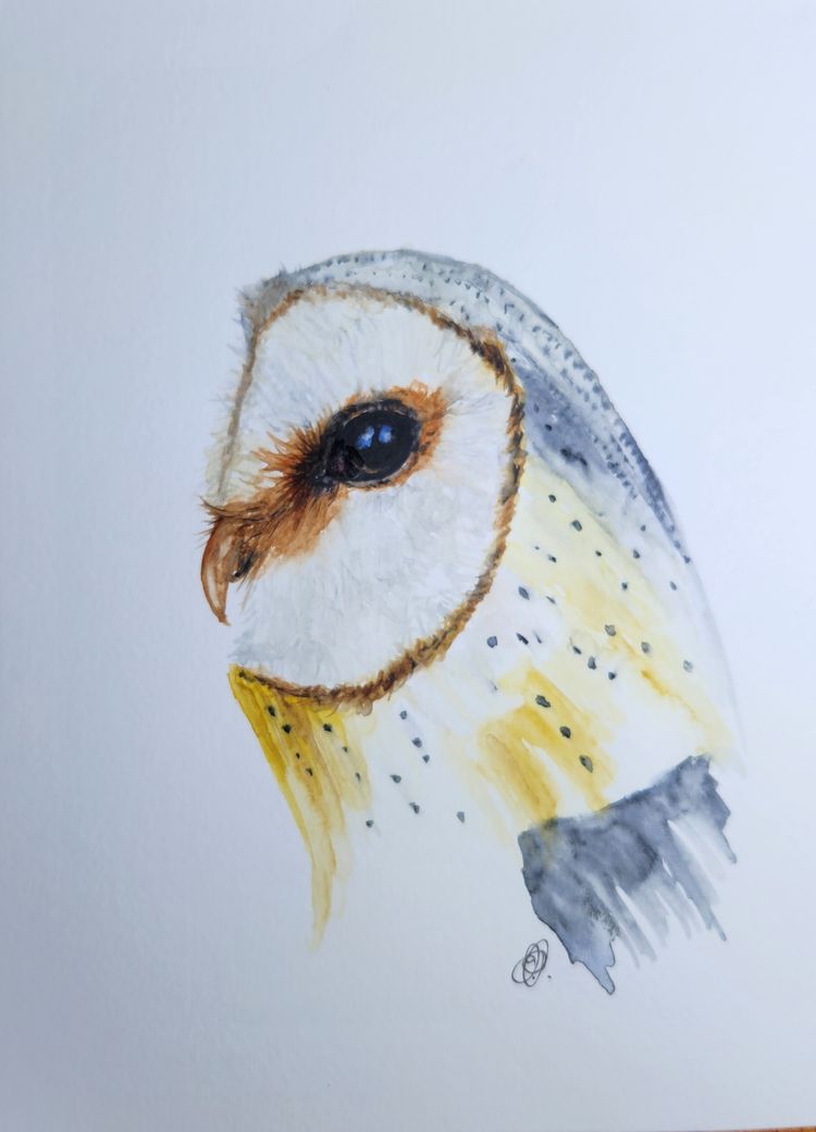 Barn Owl Original Watercolor Painting Signed By The Artist 5x7 Free Shipping
