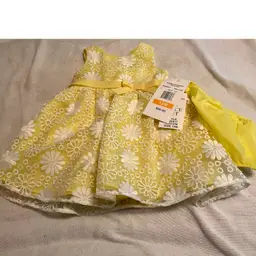 Rare Editions Floral Embroidered Organza Dress