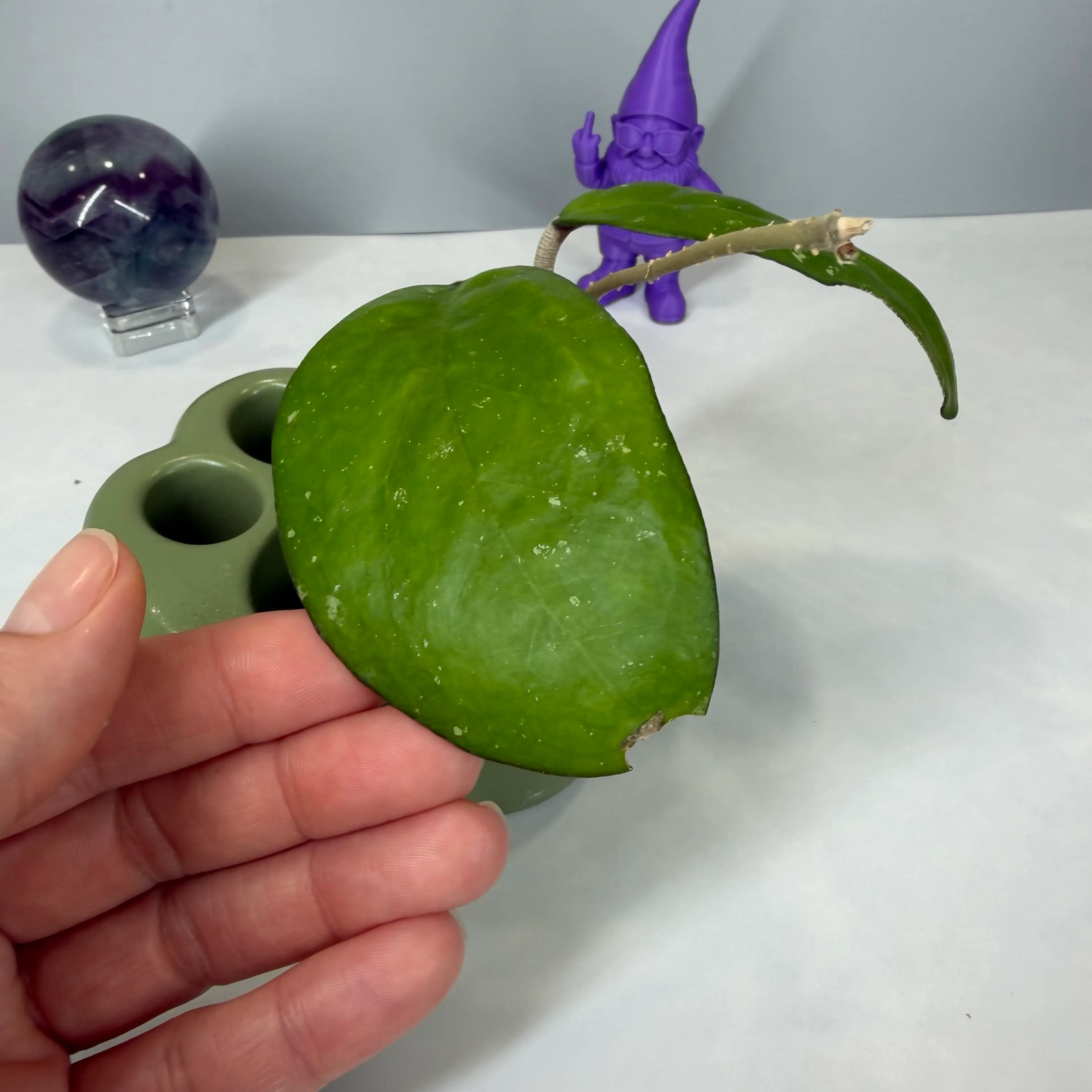 Image 4 of 4