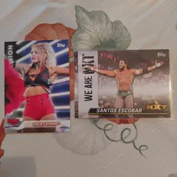 Lot of 11 wrestling cards. Letter E. 2 inserts.