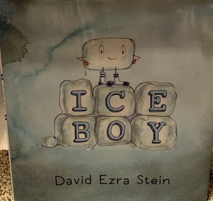 Ice Boy by David Ezra Stein (2017, Picture Book), Hardback, Very Good