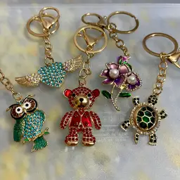 5pc Random Purse Bag Charm Keychains