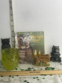 Owl 🦉 Fun