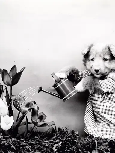 Spring Is Coming! Spring Is Coming!