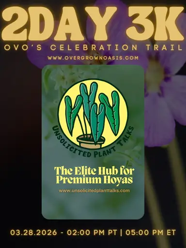 3k Celebration! 🥳 