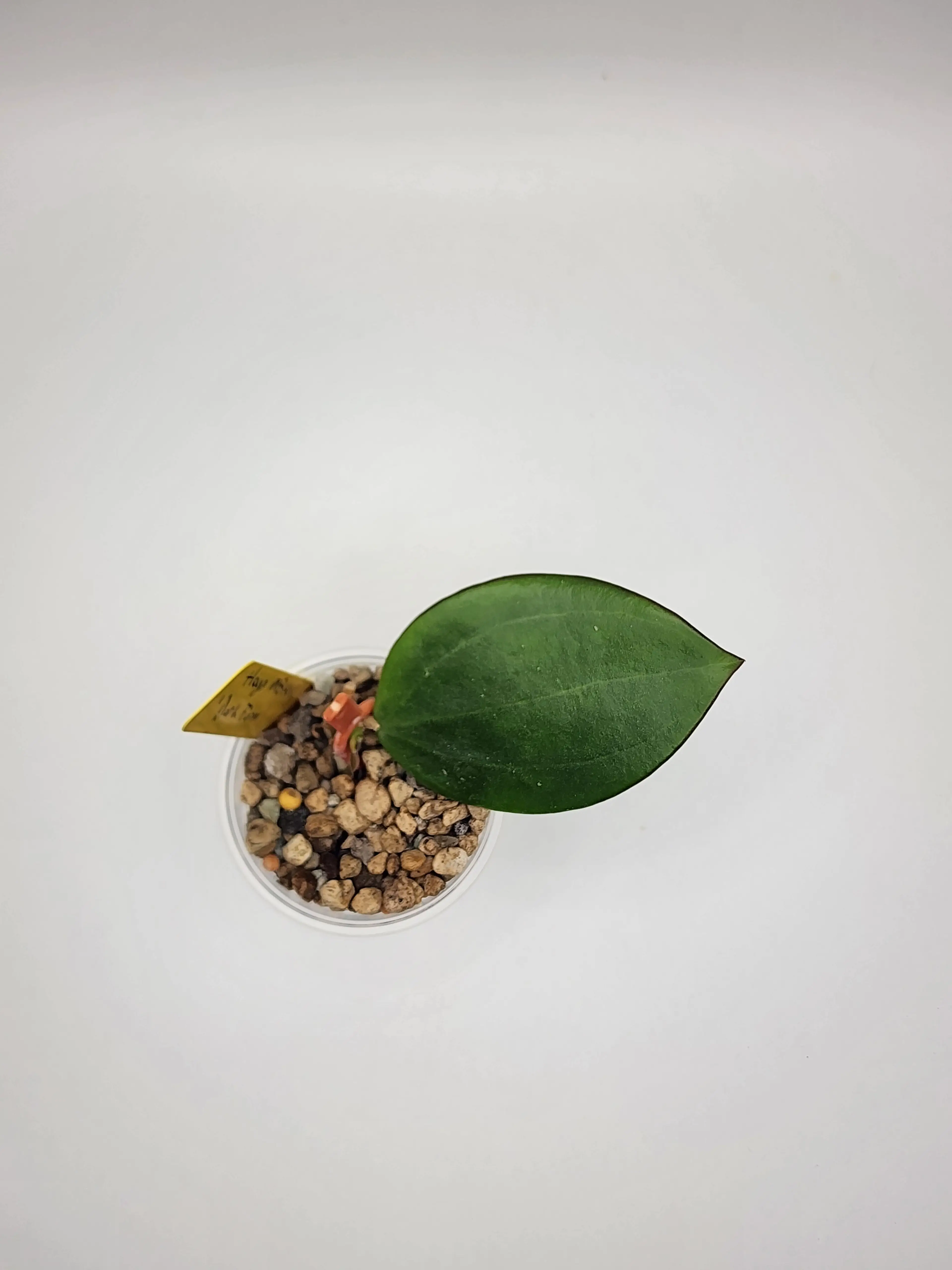 Image 3 of 3