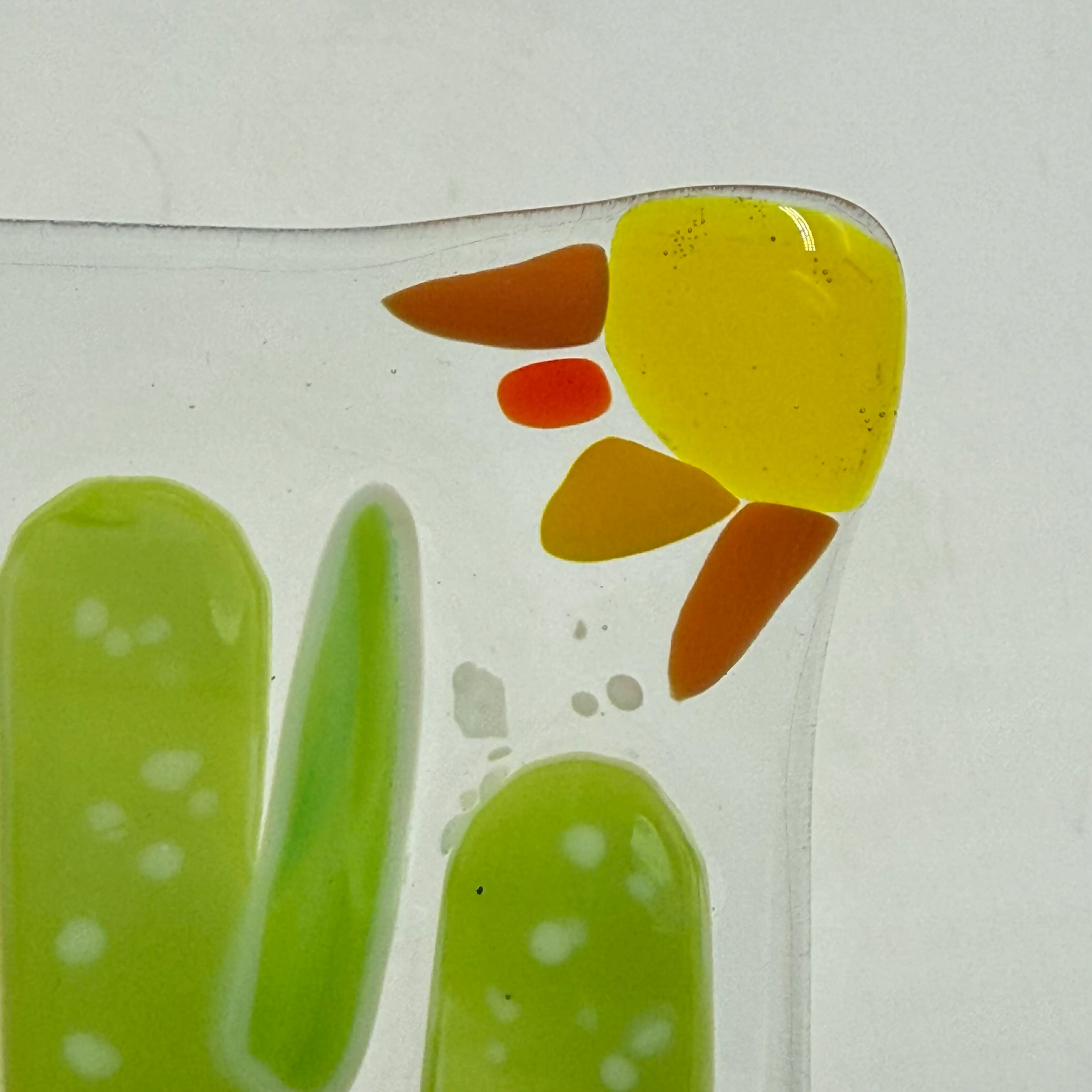 Image 5 of 6