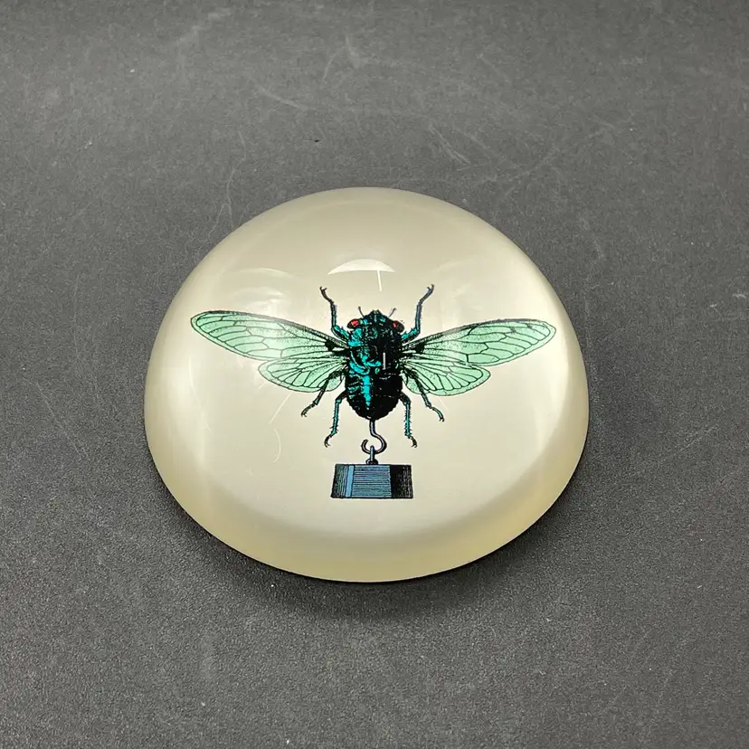 Gangzai Taonlourdo Domed Glass Paperweight Teal Cicada Insect with Weight
