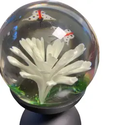 Butterfly And Chrysanthemum Paperweight