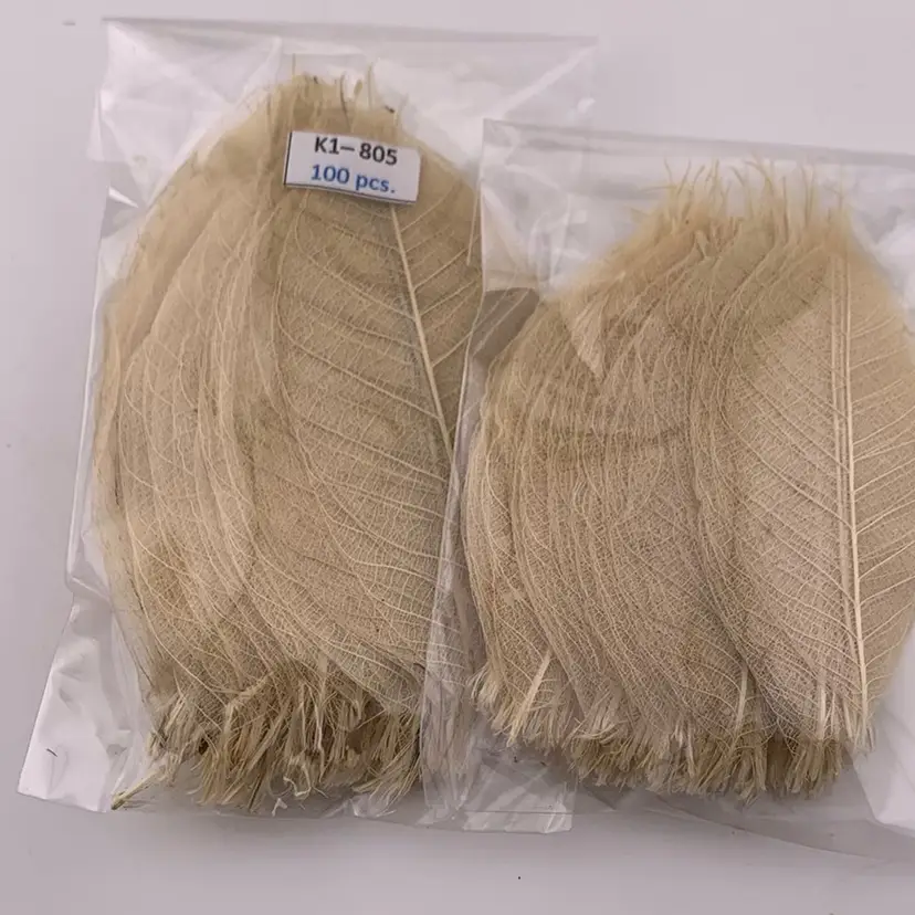 200 Skeleton Leaves New In Package