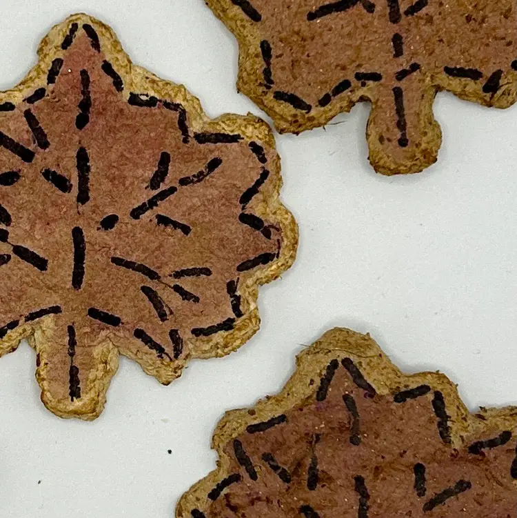 5. Handmade By Me Paper Shapes-Leaves (5)