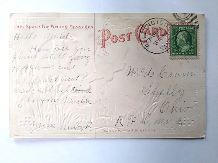 Easter Postcard Fantasy Baby Chick Cracked Egg Flowers Series 422 H Wessler 1909