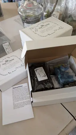 Just the Basics Terrarium Kit Box