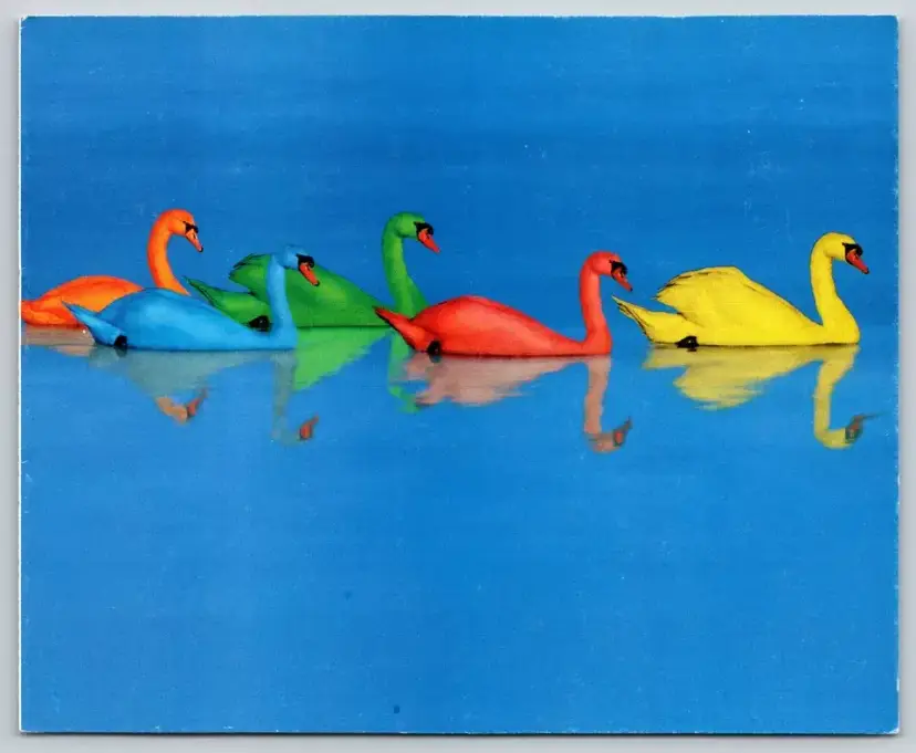 Postcard Rainbow Swans Multicolor Swans Ornithology Bird Pride Cygnus, Colortastic -  5393