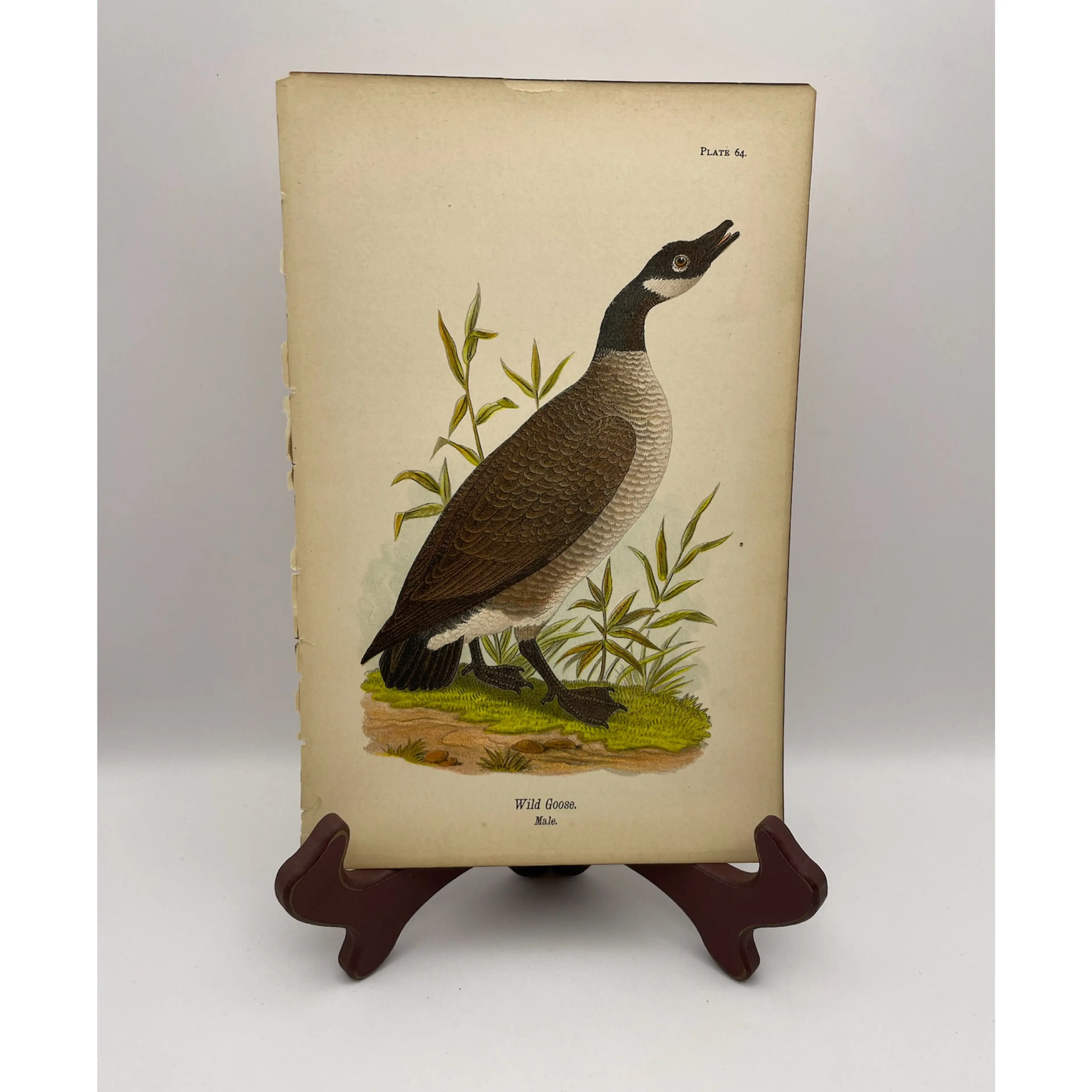 Image 1 of 8