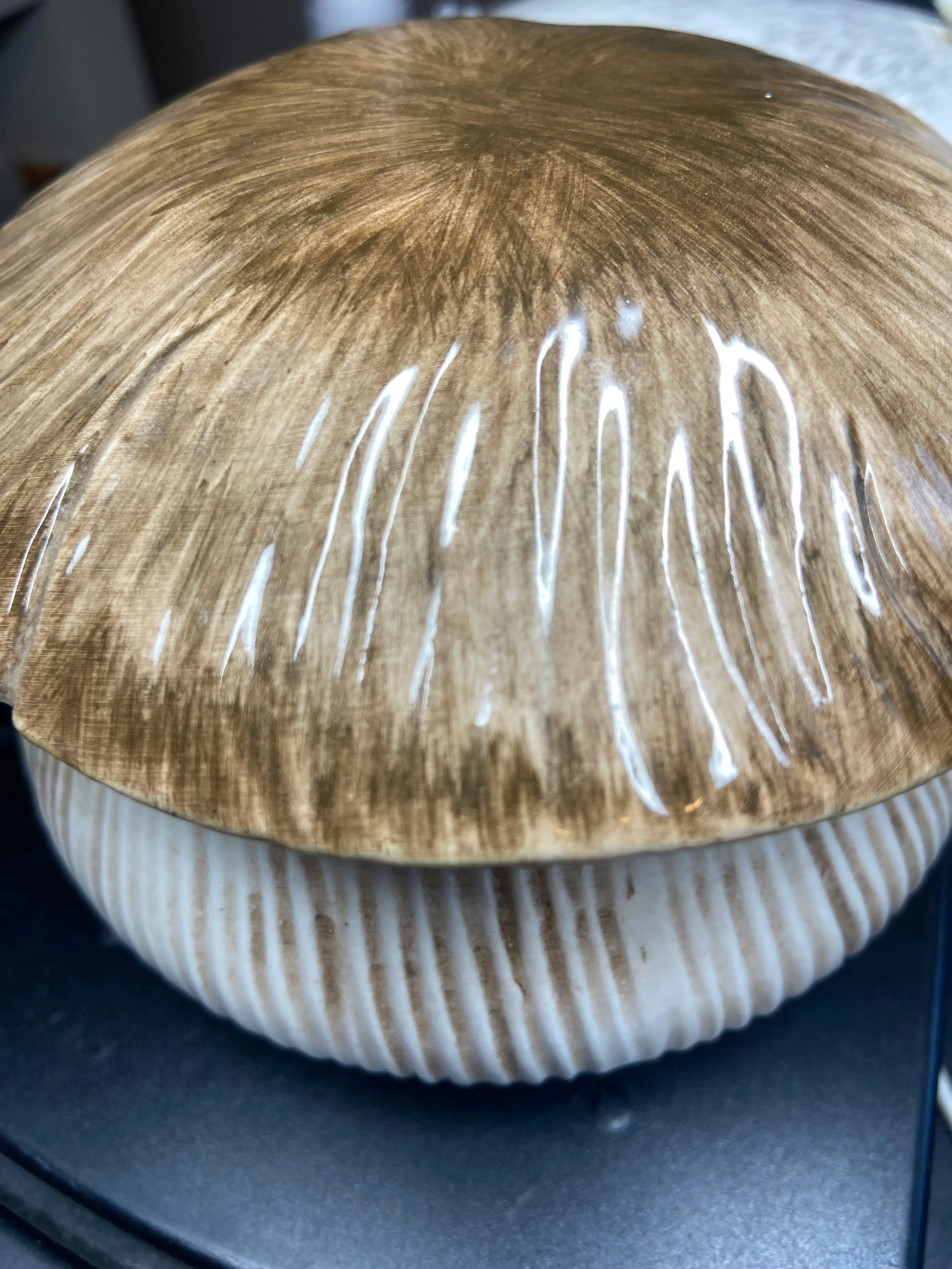 Image 5 of 5