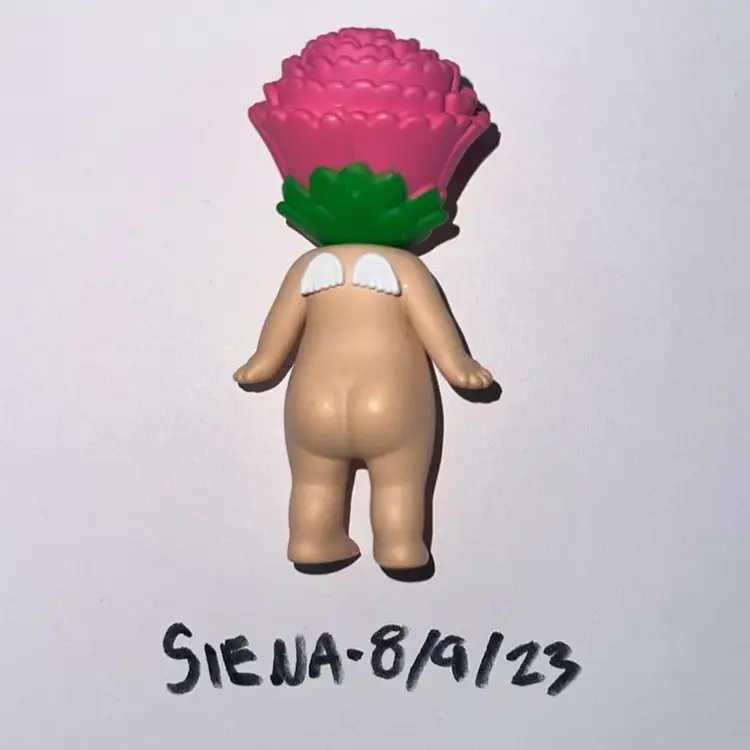 Flower Series: Carnation🌸 