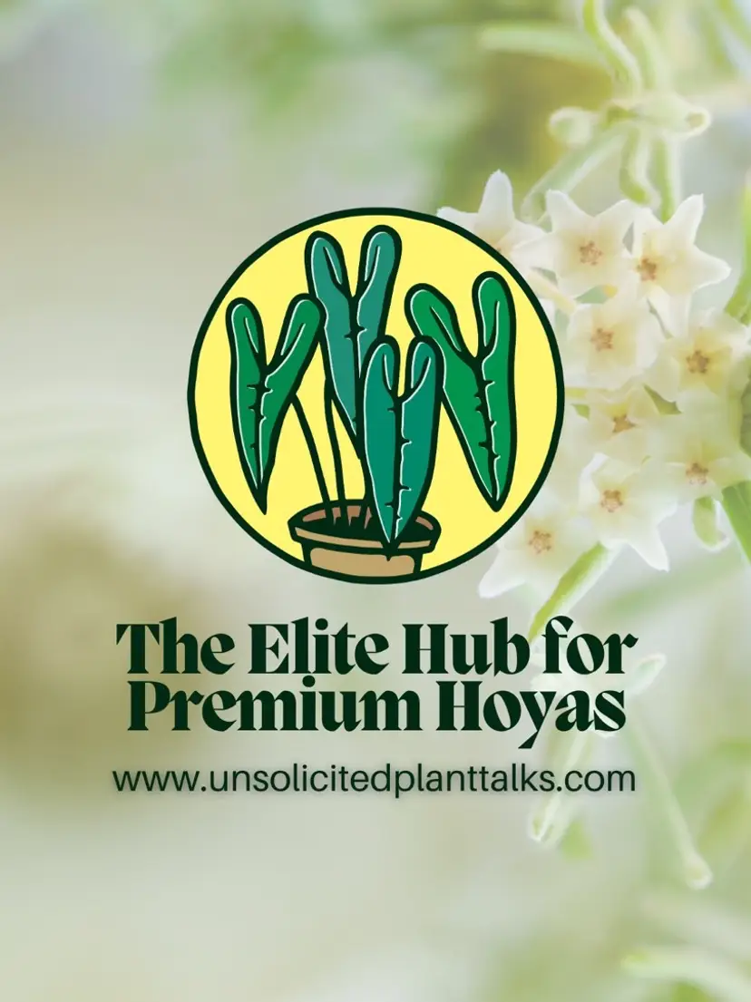 Livestream thumbnail