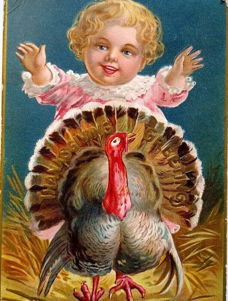 Thanksgiving Postcard Child Baby Behind Turkey Greetings Series 1 Embossed 1908