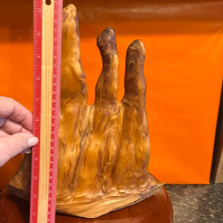 Natural Cypress Knee MCM Decor Piece