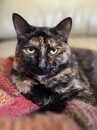 100 Items Sold! Let’s Keep It Going! 