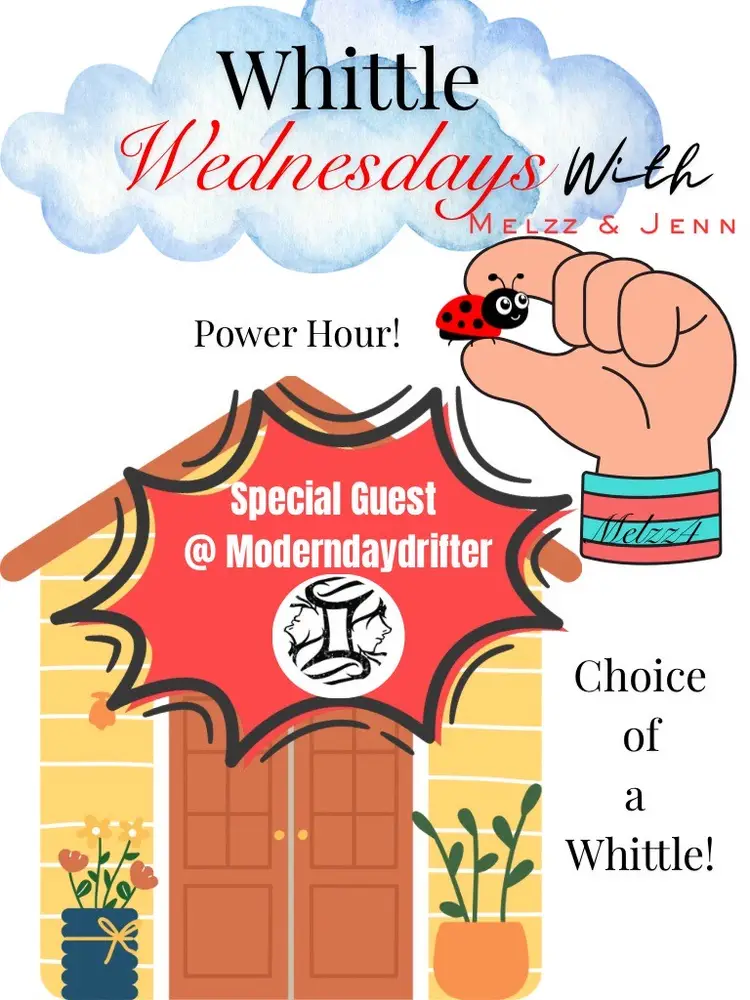 Whittle Wednesday Introducing Our Special Guest Moderndaydrifter!!!!🩷