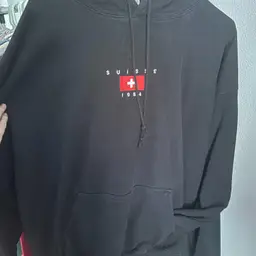 Brandy Melville Hoodie OS