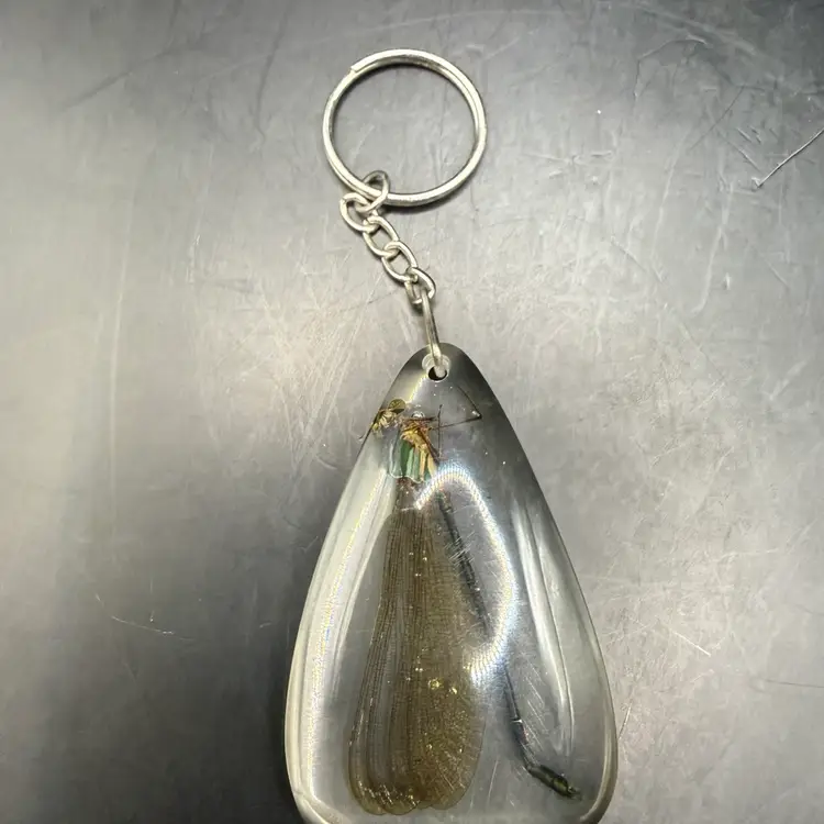 Real Dragonfly Cased In Resin Key Chain 4.5”