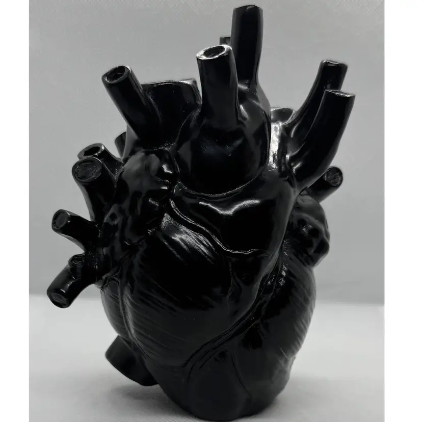 3-D Printed Black Anatomical Heart Vase - Post-Valentine’s Day Proposal?!?!