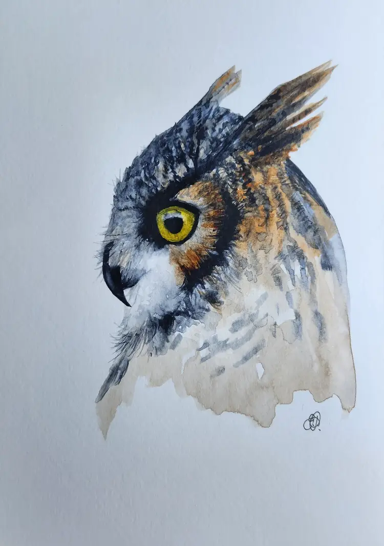 Great Horned Owl Original Watercolor Painting Signed By The Artist 5x7 Free Shipping