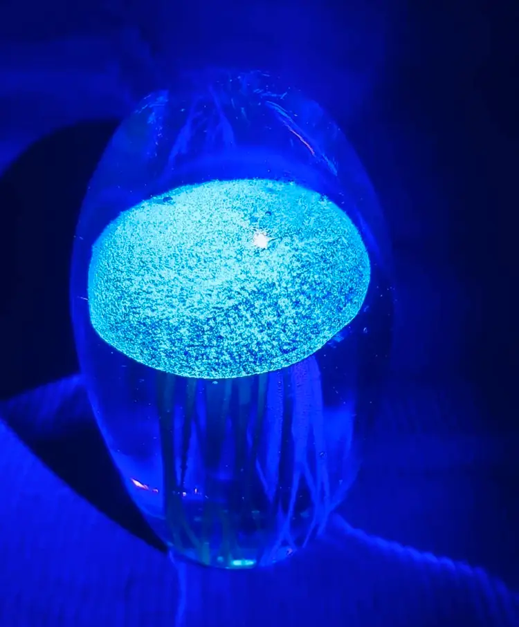 Glowy Jellyfish Art Glass Paperweight