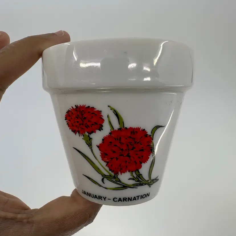 Miniature Pot January-Carnation 3”