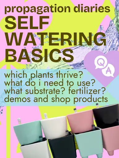Brew Something New ☕️🪴: self watering 101