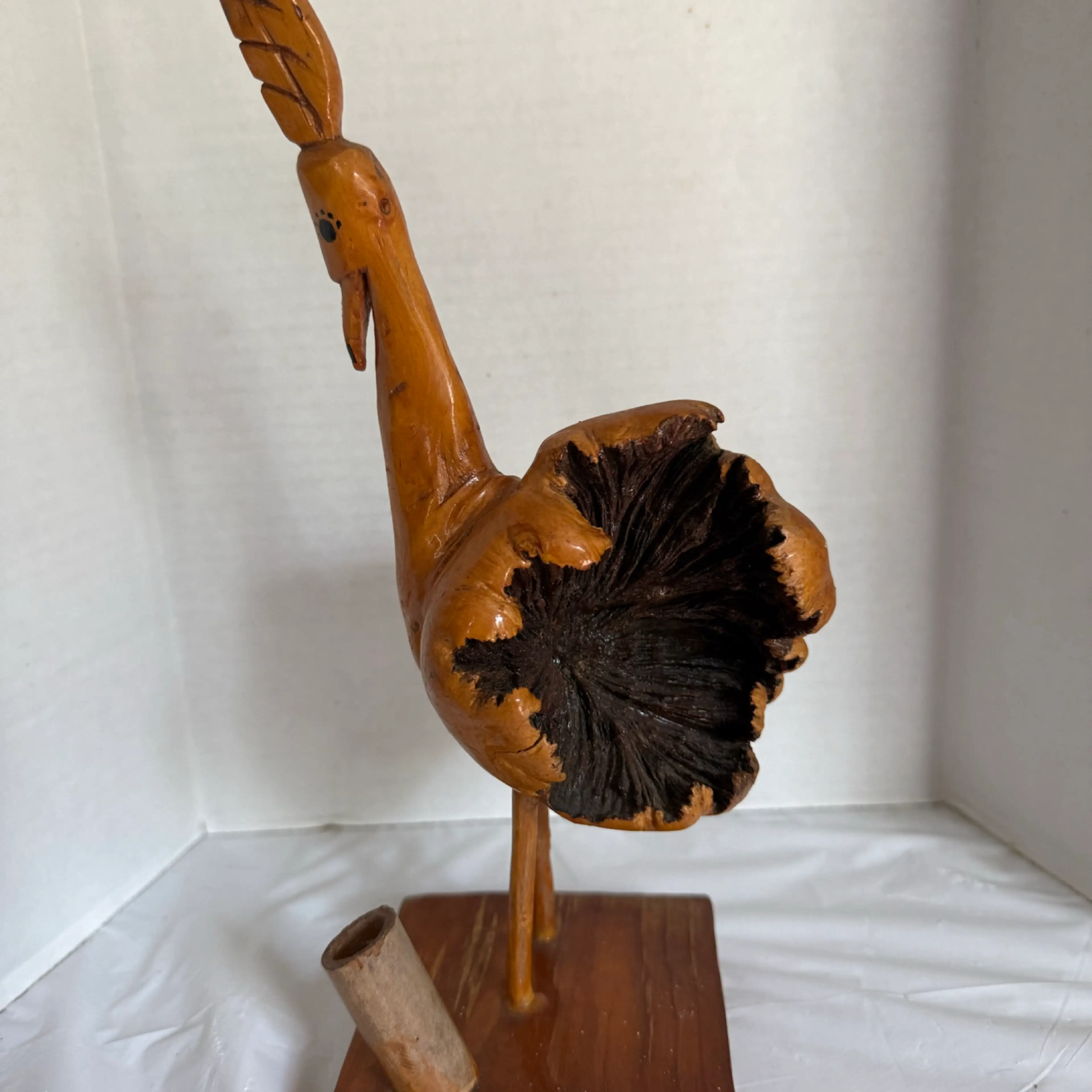 Image 5 of 7