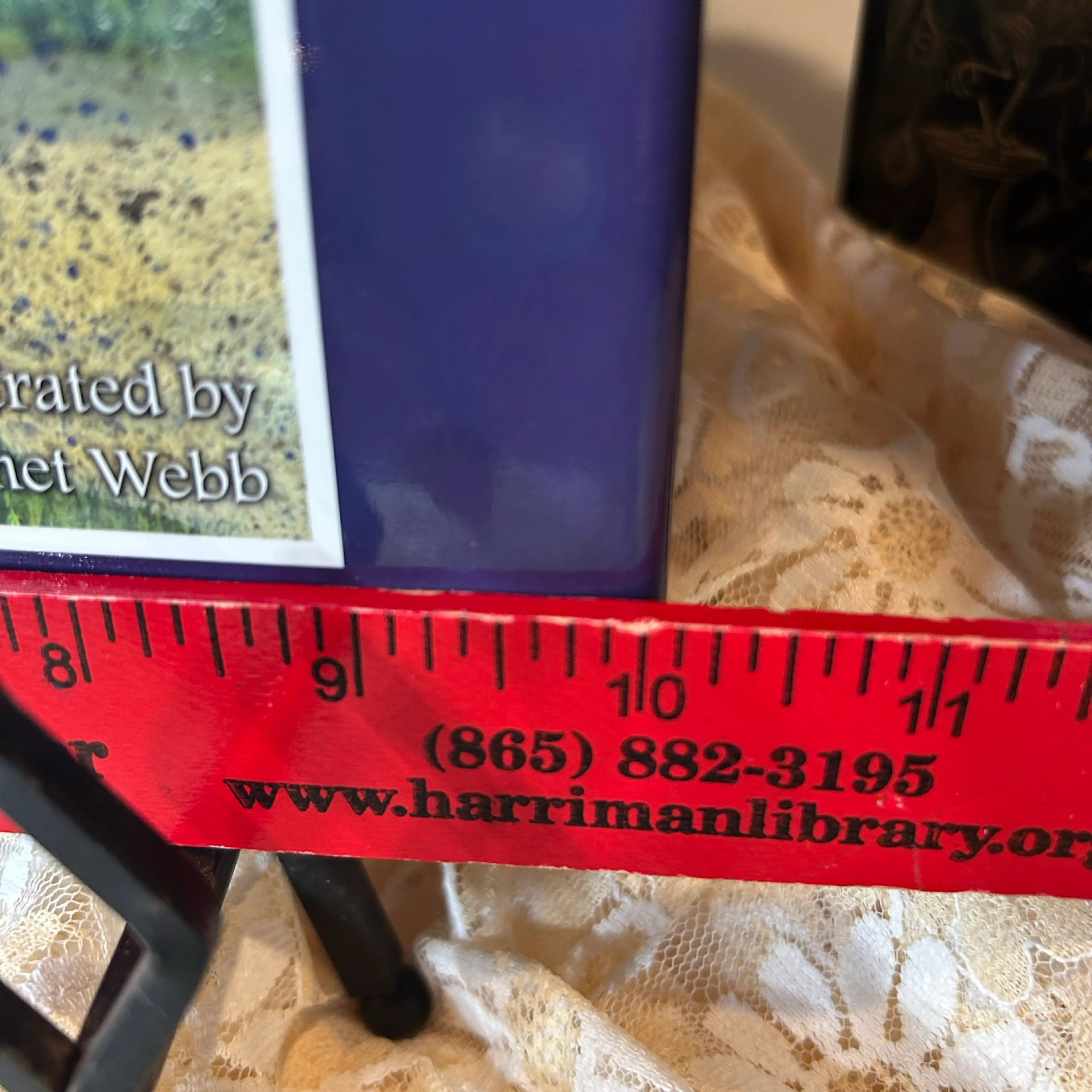 Image 2 of 6