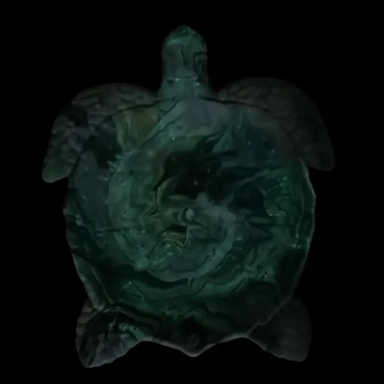 HydroStone turtle tray