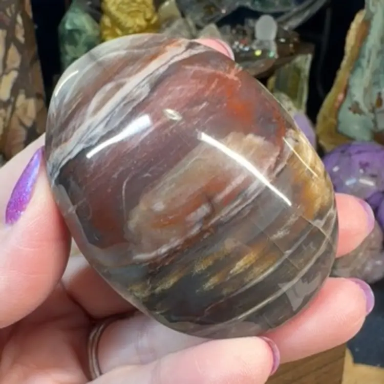 Petrified Wood Palmstone 12D