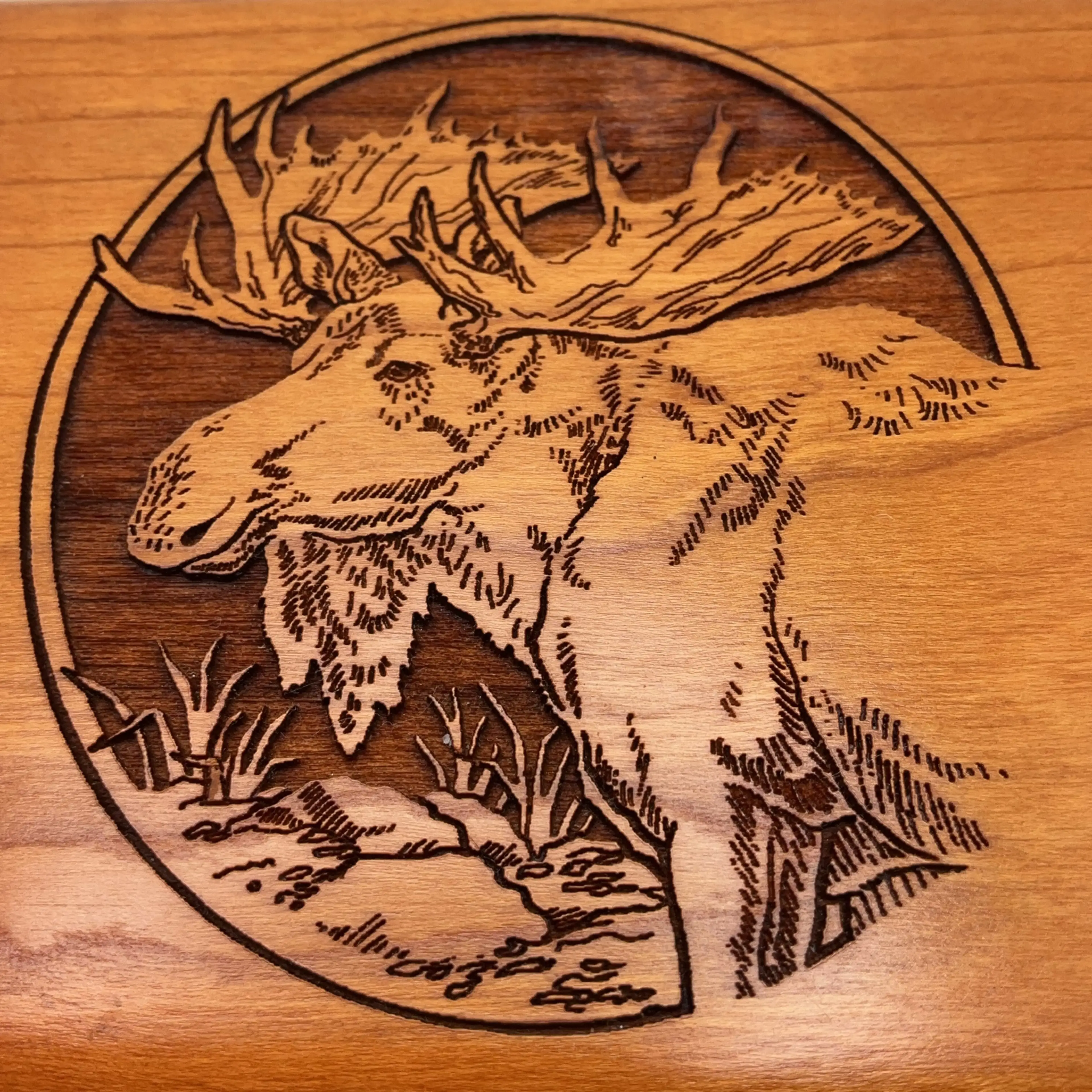 Image 2 of 5
