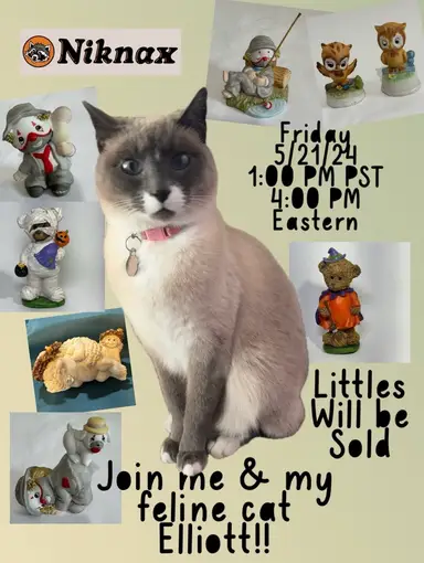 Friday Afternoon Little Delights - Shop w/ Elliott 